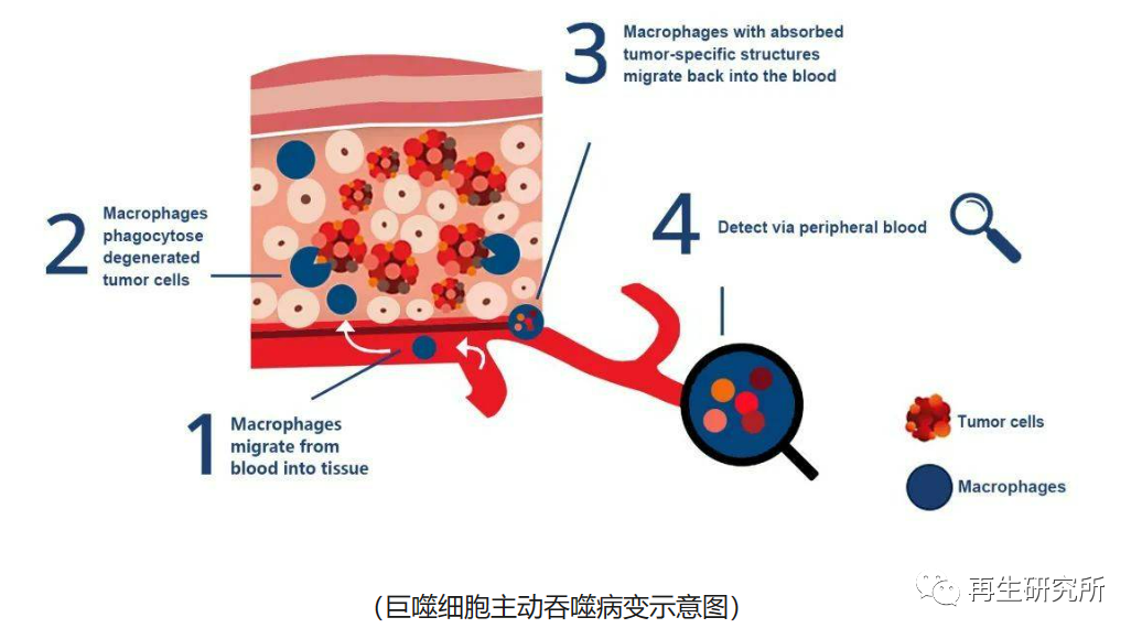 &#20048;&#40060;&#39029;&#38754;&#22312;&#32447;&#30331;&#24405;&#45;&#20048;&#40060;&#40;&#20013;&#22269;&#41;
